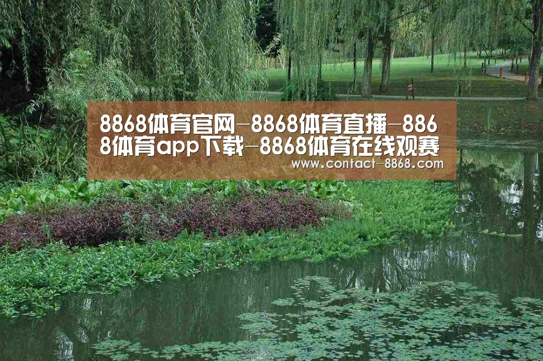 案例展示一(图1)