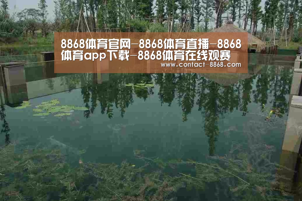 案例展示二