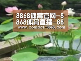 产品名称一