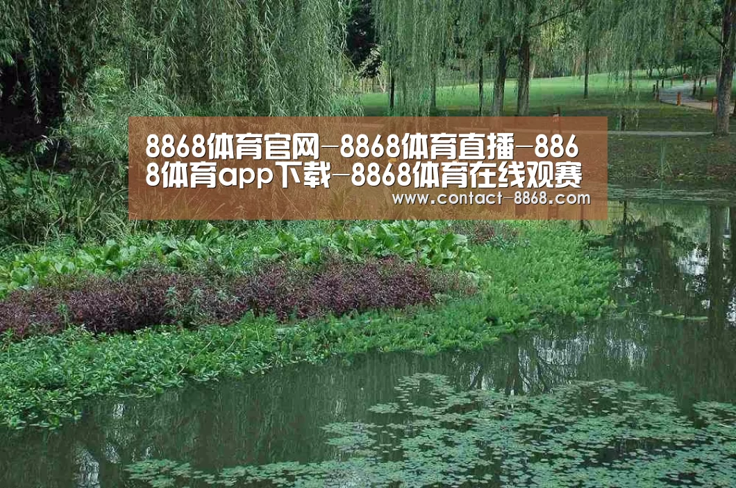 案例展示一